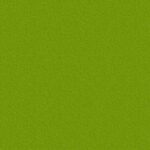 Stamskin Top - Vert printemps (07485)
